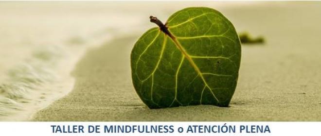 Taller de Mindfulness, Centro Óptima