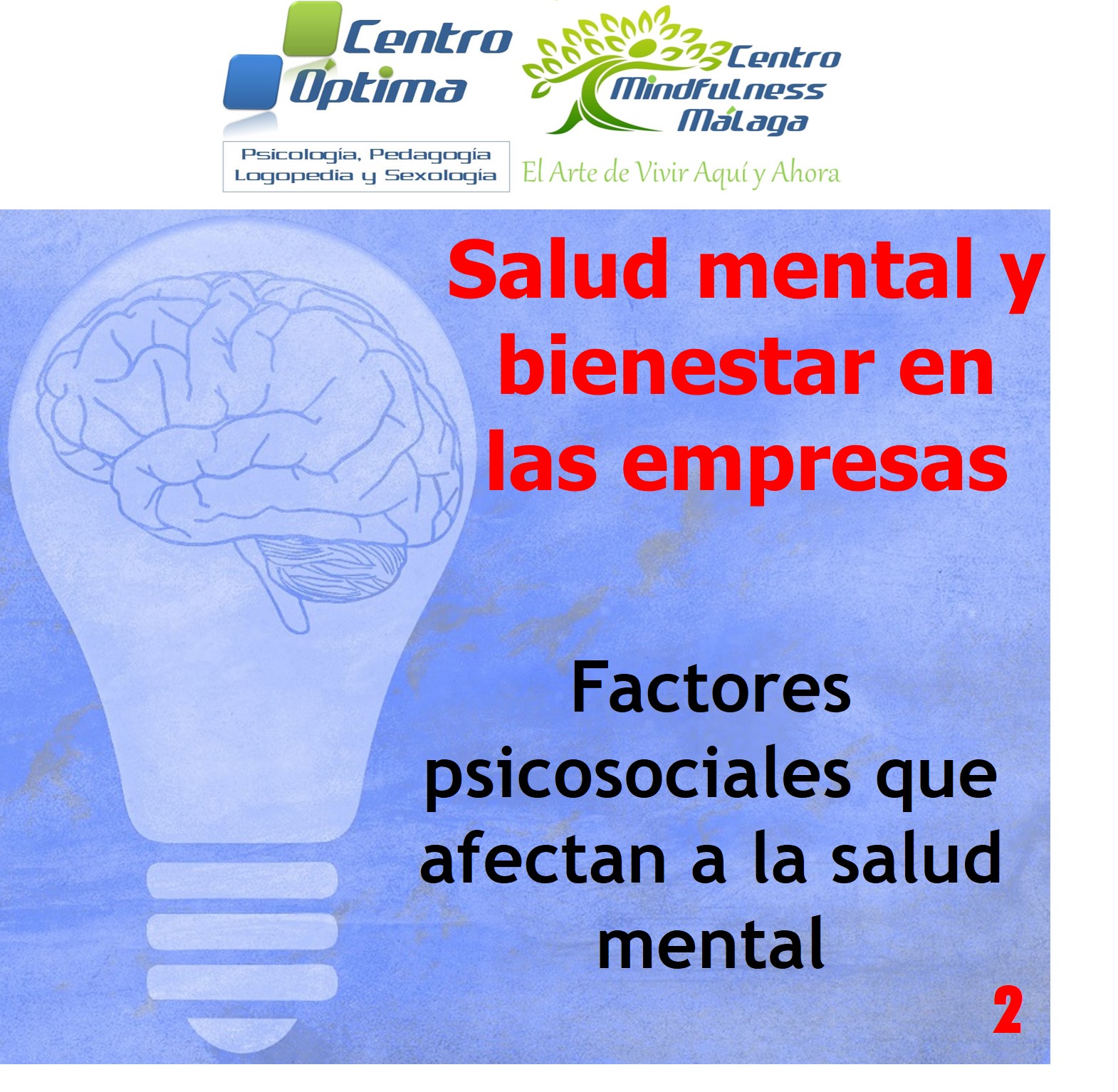 Salud mental en las empresas 2: Factores psicosociales, Centro Óptima