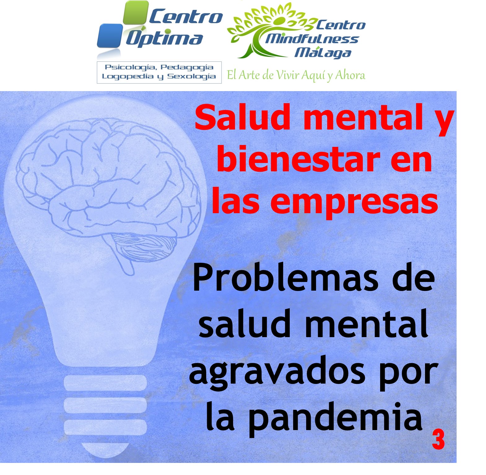 Salud mental en las empresas 3: Problemas agravados por la pandemia, Centro Óptima