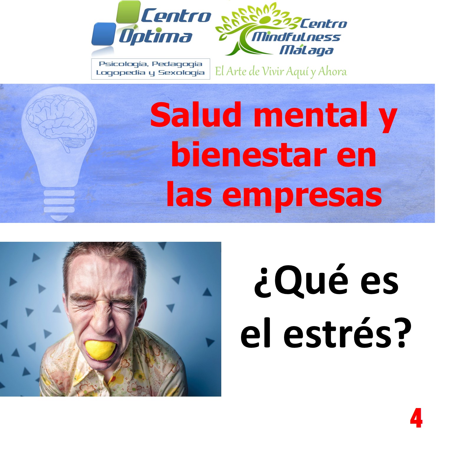 Salud mental en las empresas 4: ¿Qué es el estrés?, Centro Óptima