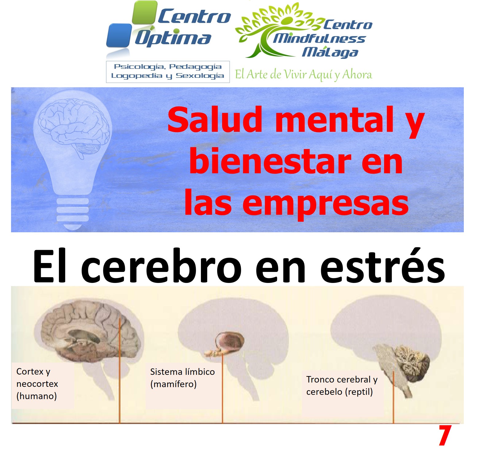 Salud mental en las empresas 7: El cerebro en estrés, Centro Óptima