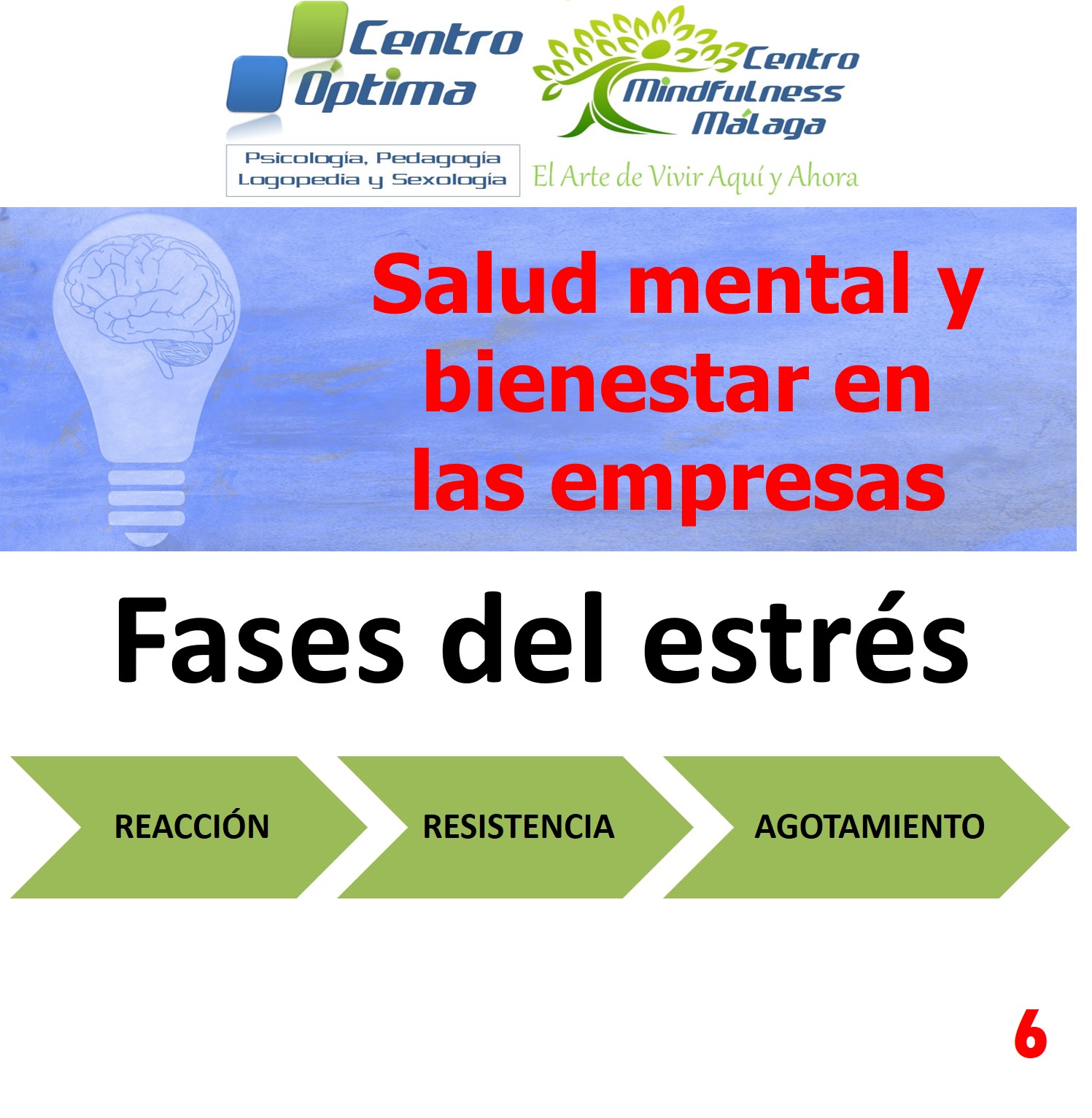 Salud mental en las empresas 6: Fases del estrés, Centro Óptima